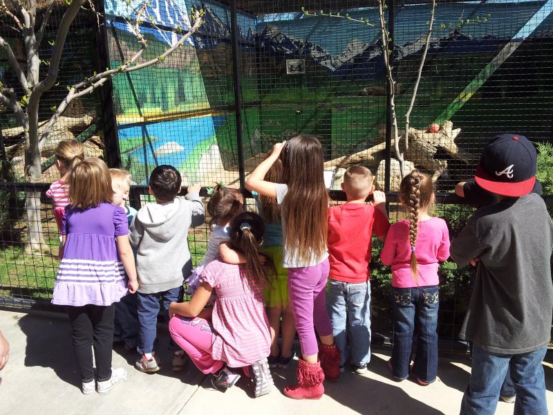 zoo